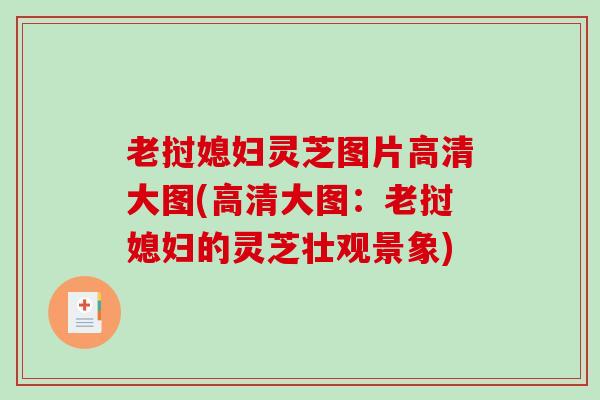 老挝媳妇灵芝图片高清大图(高清大图:老挝媳妇的灵芝壮观景象)-第1张图片-破壁灵芝孢子粉研究指南 老挝媳妇灵芝图片高清大图(高清大图:老挝媳妇的灵芝壮观景象)-第1张图片-破壁灵芝孢子粉研究指南