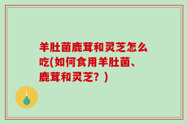 羊肚菌鹿茸和灵芝怎么吃(如何食用羊肚菌、鹿茸和灵芝？)-第1张图片-破壁灵芝孢子粉研究指南