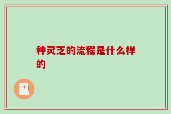 种灵芝的流程是什么样的-第1张图片-破壁灵芝孢子粉研究指南 种灵芝的流程是什么样的-第1张图片-破壁灵芝孢子粉研究指南