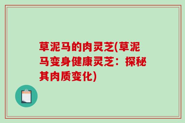 草泥马的肉灵芝(草泥马变身健康灵芝:探秘其肉质变化)-第1张图片-破壁灵芝孢子粉研究指南 草泥马的肉灵芝(草泥马变身健康灵芝:探秘其肉质变化)-第1张图片-破壁灵芝孢子粉研究指南