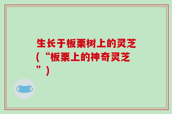 生长于板栗树上的灵芝(“板栗上的神奇灵芝”)-第1张图片-破壁灵芝孢子粉研究指南 生长于板栗树上的灵芝(“板栗上的神奇灵芝”)-第1张图片-破壁灵芝孢子粉研究指南