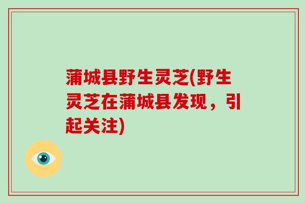 蒲城县野生灵芝(野生灵芝在蒲城县发现,引起关注)-第1张图片-破壁灵芝孢子粉研究指南 蒲城县野生灵芝(野生灵芝在蒲城县发现,引起关注)-第1张图片-破壁灵芝孢子粉研究指南