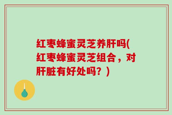 红枣蜂蜜灵芝养肝吗(红枣蜂蜜灵芝组合,对肝脏有好处吗?)-第1张图片-破壁灵芝孢子粉研究指南 红枣蜂蜜灵芝养肝吗(红枣蜂蜜灵芝组合,对肝脏有好处吗?)-第1张图片-破壁灵芝孢子粉研究指南