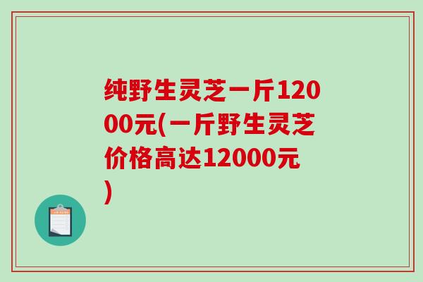 纯野生灵芝一斤12000元(一斤野生灵芝价格高达12000元)-第1张图片-破壁灵芝孢子粉研究指南 纯野生灵芝一斤12000元(一斤野生灵芝价格高达12000元)-第1张图片-破壁灵芝孢子粉研究指南