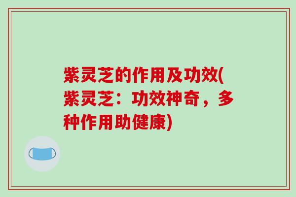 紫灵芝的作用及功效(紫灵芝:功效神奇,多种作用助健康)-第1张图片-破壁灵芝孢子粉研究指南 紫灵芝的作用及功效(紫灵芝:功效神奇,多种作用助健康)-第1张图片-破壁灵芝孢子粉研究指南