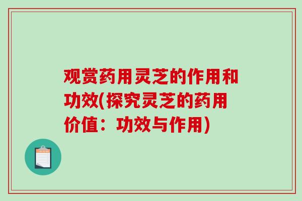 观赏药用灵芝的作用和功效(探究灵芝的药用价值:功效与作用)-第1张图片-破壁灵芝孢子粉研究指南 观赏药用灵芝的作用和功效(探究灵芝的药用价值:功效与作用)-第1张图片-破壁灵芝孢子粉研究指南