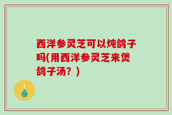 西洋参灵芝可以炖鸽子吗(用西洋参灵芝来煲鸽子汤？)-第1张图片-破壁灵芝孢子粉研究指南