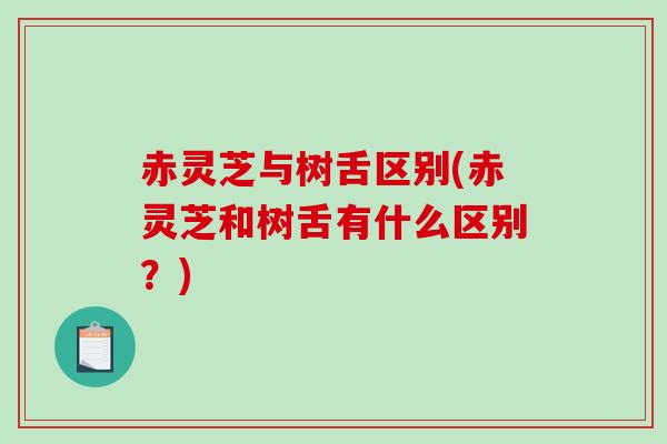 赤灵芝与树舌区别(赤灵芝和树舌有什么区别?)-第1张图片-破壁灵芝孢子粉研究指南 赤灵芝与树舌区别(赤灵芝和树舌有什么区别?)-第1张图片-破壁灵芝孢子粉研究指南
