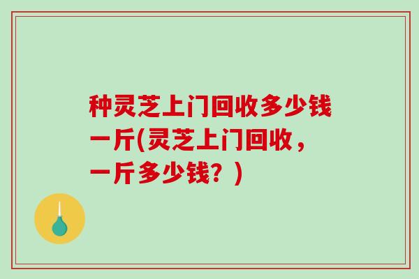 种灵芝上门回收多少钱一斤(灵芝上门回收，一斤多少钱？)-第1张图片-破壁灵芝孢子粉研究指南