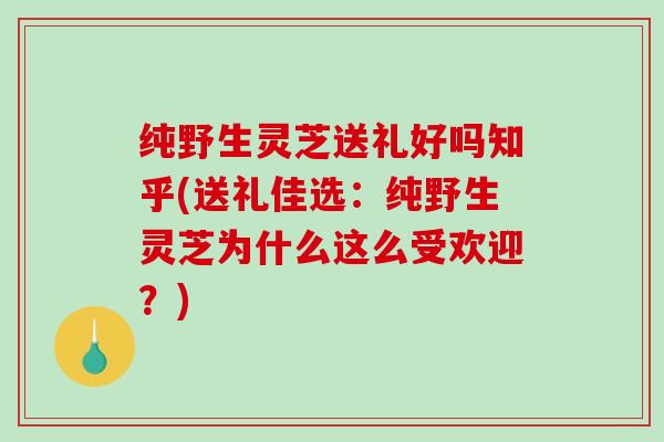 纯野生灵芝送礼好吗知乎(送礼佳选:纯野生灵芝为什么这么受欢迎?)-第1张图片-破壁灵芝孢子粉研究指南 纯野生灵芝送礼好吗知乎(送礼佳选:纯野生灵芝为什么这么受欢迎?)-第1张图片-破壁灵芝孢子粉研究指南