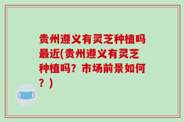 贵州遵义有灵芝种植吗最近(贵州遵义有灵芝种植吗?市场前景如何?)-第1张图片-破壁灵芝孢子粉研究指南 贵州遵义有灵芝种植吗最近(贵州遵义有灵芝种植吗?市场前景如何?)-第1张图片-破壁灵芝孢子粉研究指南
