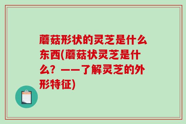 蘑菇形状的灵芝是什么东西(蘑菇状灵芝是什么?——了解灵芝的外形特征)-第1张图片-破壁灵芝孢子粉研究指南 蘑菇形状的灵芝是什么东西(蘑菇状灵芝是什么?——了解灵芝的外形特征)-第1张图片-破壁灵芝孢子粉研究指南
