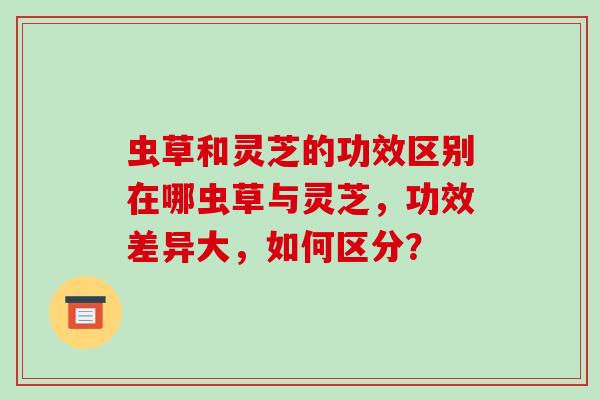 虫草和灵芝的功效区别在哪虫草与灵芝,功效差异大,如何区分?-第1张图片-破壁灵芝孢子粉研究指南 虫草和灵芝的功效区别在哪虫草与灵芝,功效差异大,如何区分?-第1张图片-破壁灵芝孢子粉研究指南