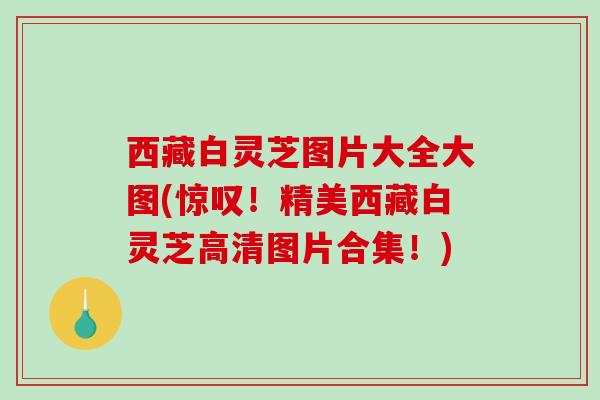 西藏白灵芝图片大全大图(惊叹!精美西藏白灵芝高清图片合集!)-第1张图片-破壁灵芝孢子粉研究指南 西藏白灵芝图片大全大图(惊叹!精美西藏白灵芝高清图片合集!)-第1张图片-破壁灵芝孢子粉研究指南