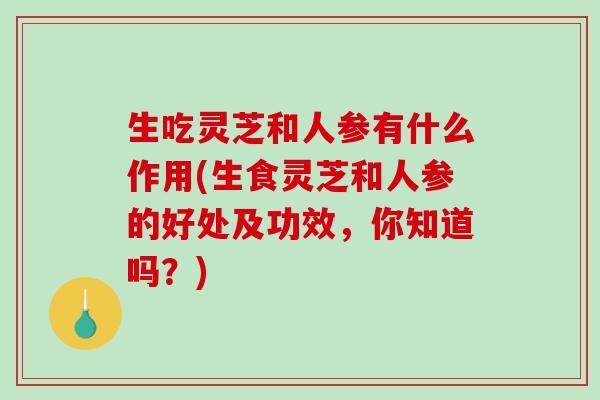生吃灵芝和人参有什么作用(生食灵芝和人参的好处及功效,你知道吗?)-第1张图片-破壁灵芝孢子粉研究指南 生吃灵芝和人参有什么作用(生食灵芝和人参的好处及功效,你知道吗?)-第1张图片-破壁灵芝孢子粉研究指南