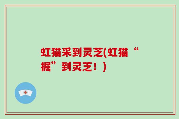 虹猫采到灵芝(虹猫“掘”到灵芝!)-第1张图片-破壁灵芝孢子粉研究指南 虹猫采到灵芝(虹猫“掘”到灵芝!)-第1张图片-破壁灵芝孢子粉研究指南