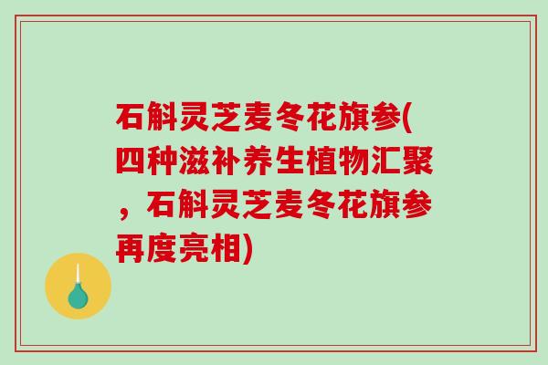 石斛灵芝麦冬花旗参(四种滋补养生植物汇聚,石斛灵芝麦冬花旗参再度亮相)-第1张图片-破壁灵芝孢子粉研究指南 石斛灵芝麦冬花旗参(四种滋补养生植物汇聚,石斛灵芝麦冬花旗参再度亮相)-第1张图片-破壁灵芝孢子粉研究指南