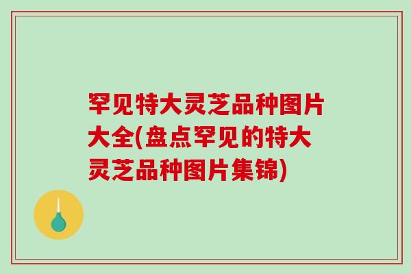 罕见特大灵芝品种图片大全(盘点罕见的特大灵芝品种图片集锦)-第1张图片-破壁灵芝孢子粉研究指南 罕见特大灵芝品种图片大全(盘点罕见的特大灵芝品种图片集锦)-第1张图片-破壁灵芝孢子粉研究指南