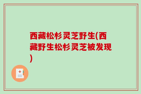 西藏松杉灵芝野生(西藏野生松杉灵芝被发现)-第1张图片-破壁灵芝孢子粉研究指南 西藏松杉灵芝野生(西藏野生松杉灵芝被发现)-第1张图片-破壁灵芝孢子粉研究指南