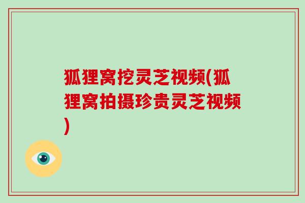 狐狸窝挖灵芝视频(狐狸窝拍摄珍贵灵芝视频)-第1张图片-破壁灵芝孢子粉研究指南