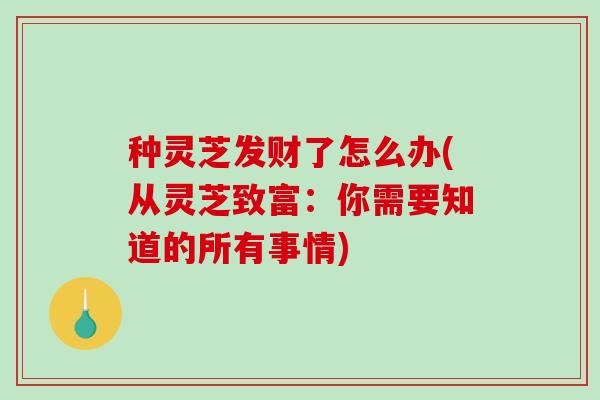 种灵芝发财了怎么办(从灵芝致富：你需要知道的所有事情)-第1张图片-破壁灵芝孢子粉研究指南