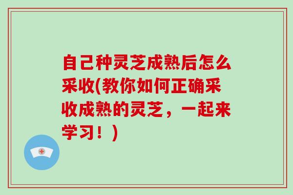 自己种灵芝成熟后怎么采收(教你如何正确采收成熟的灵芝，一起来学习！)-第1张图片-破壁灵芝孢子粉研究指南