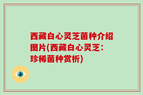 西藏白心灵芝菌种介绍图片(西藏白心灵芝:珍稀菌种赏析)-第1张图片-破壁灵芝孢子粉研究指南 西藏白心灵芝菌种介绍图片(西藏白心灵芝:珍稀菌种赏析)-第1张图片-破壁灵芝孢子粉研究指南