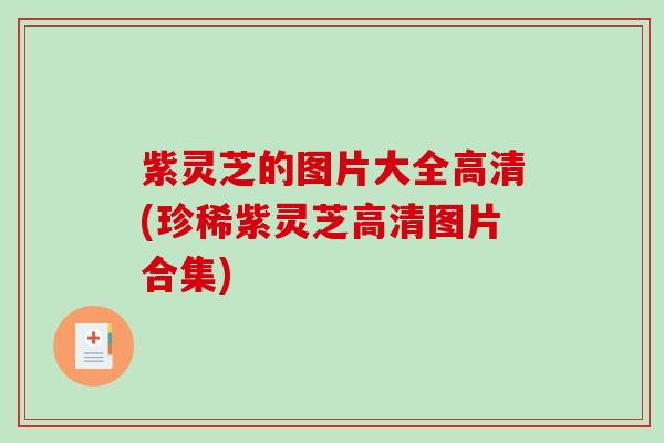 紫灵芝的图片大全高清(珍稀紫灵芝高清图片合集)-第1张图片-破壁灵芝孢子粉研究指南 紫灵芝的图片大全高清(珍稀紫灵芝高清图片合集)-第1张图片-破壁灵芝孢子粉研究指南