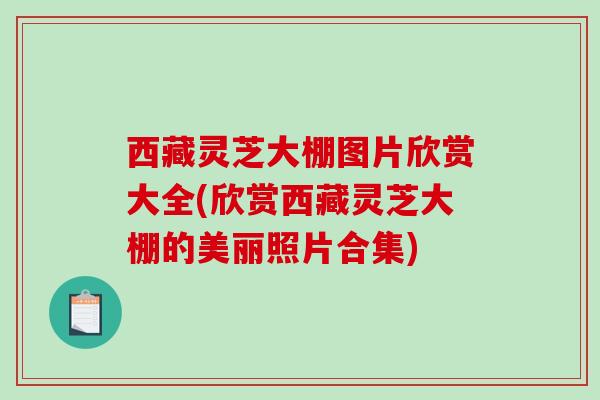 西藏灵芝大棚图片欣赏大全(欣赏西藏灵芝大棚的美丽照片合集)-第1张图片-破壁灵芝孢子粉研究指南 西藏灵芝大棚图片欣赏大全(欣赏西藏灵芝大棚的美丽照片合集)-第1张图片-破壁灵芝孢子粉研究指南