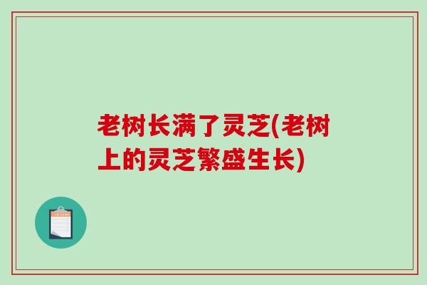 老树长满了灵芝(老树上的灵芝繁盛生长)-第1张图片-破壁灵芝孢子粉研究指南