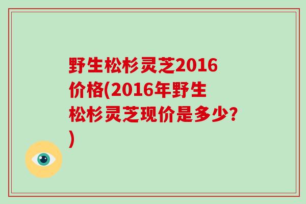 野生松杉灵芝2016价格(2016年野生松杉灵芝现价是多少?)-第1张图片-破壁灵芝孢子粉研究指南 野生松杉灵芝2016价格(2016年野生松杉灵芝现价是多少?)-第1张图片-破壁灵芝孢子粉研究指南