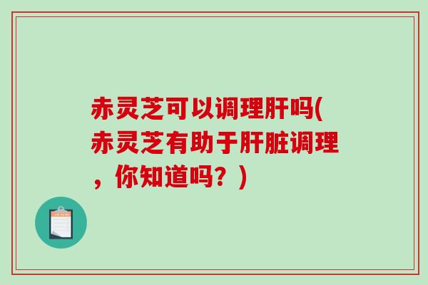 赤灵芝可以调理肝吗(赤灵芝有助于肝脏调理，你知道吗？)-第1张图片-破壁灵芝孢子粉研究指南