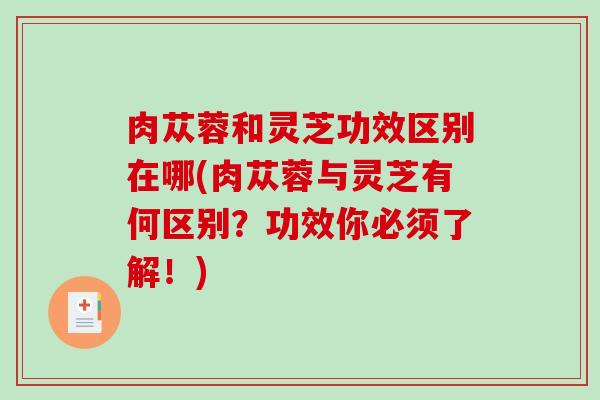 肉苁蓉和灵芝功效区别在哪(肉苁蓉与灵芝有何区别?功效你必须了解!)-第1张图片-破壁灵芝孢子粉研究指南 肉苁蓉和灵芝功效区别在哪(肉苁蓉与灵芝有何区别?功效你必须了解!)-第1张图片-破壁灵芝孢子粉研究指南