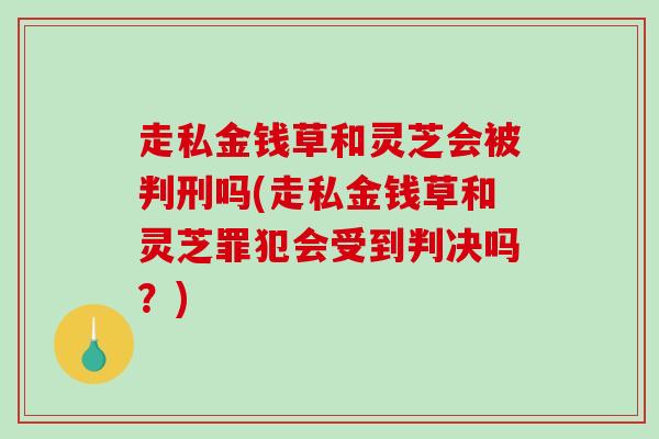 走私金钱草和灵芝会被判刑吗(走私金钱草和灵芝罪犯会受到判决吗?)-第1张图片-破壁灵芝孢子粉研究指南 走私金钱草和灵芝会被判刑吗(走私金钱草和灵芝罪犯会受到判决吗?)-第1张图片-破壁灵芝孢子粉研究指南