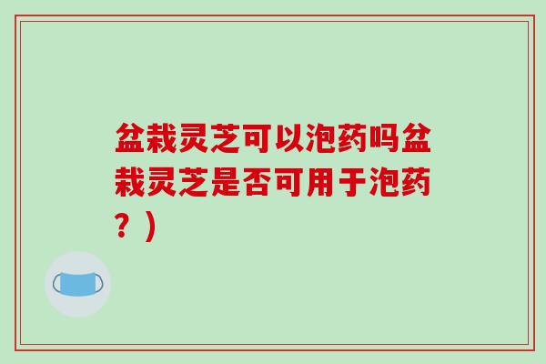 盆栽灵芝可以泡药吗盆栽灵芝是否可用于泡药?)-第1张图片-破壁灵芝孢子粉研究指南 盆栽灵芝可以泡药吗盆栽灵芝是否可用于泡药?)-第1张图片-破壁灵芝孢子粉研究指南