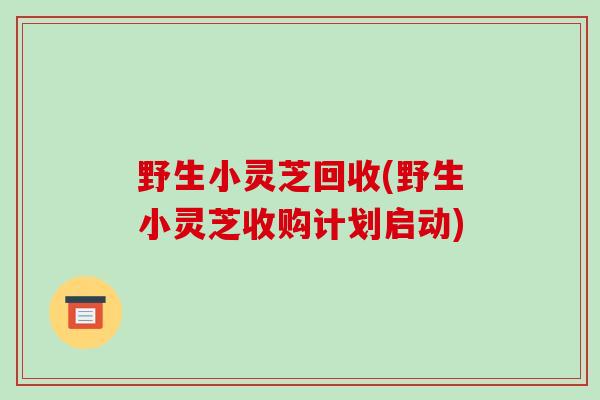 野生小灵芝回收(野生小灵芝收购计划启动)-第1张图片-破壁灵芝孢子粉研究指南