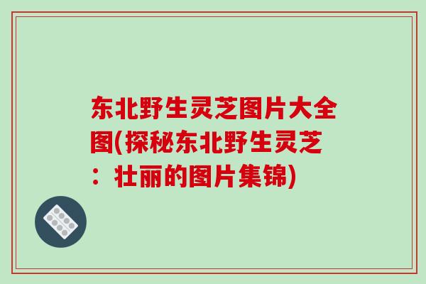东北野生灵芝图片大全图(探秘东北野生灵芝:壮丽的图片集锦)-第1张图片-破壁灵芝孢子粉研究指南 东北野生灵芝图片大全图(探秘东北野生灵芝:壮丽的图片集锦)-第1张图片-破壁灵芝孢子粉研究指南