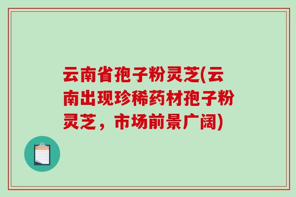 云南省孢子粉灵芝(云南出现珍稀药材孢子粉灵芝，市场前景广阔)-第1张图片-破壁灵芝孢子粉研究指南