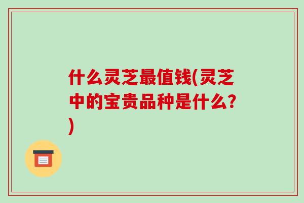 什么灵芝最值钱(灵芝中的宝贵品种是什么？)-第1张图片-破壁灵芝孢子粉研究指南