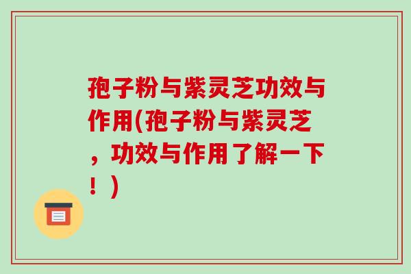 孢子粉与紫灵芝功效与作用(孢子粉与紫灵芝，功效与作用了解一下！)-第1张图片-破壁灵芝孢子粉研究指南