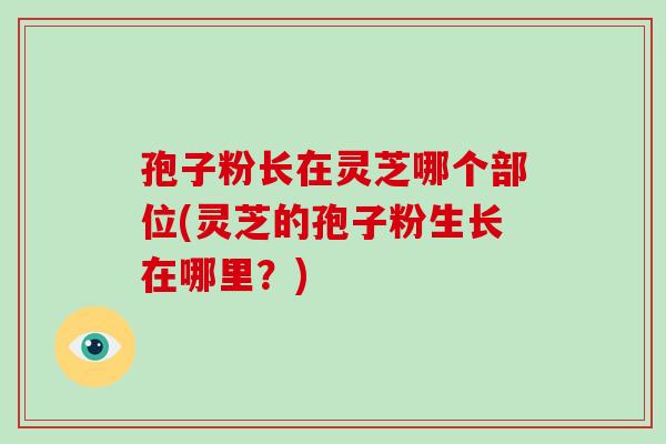 孢子粉长在灵芝哪个部位(灵芝的孢子粉生长在哪里?)-第1张图片-破壁灵芝孢子粉研究指南 孢子粉长在灵芝哪个部位(灵芝的孢子粉生长在哪里?)-第1张图片-破壁灵芝孢子粉研究指南