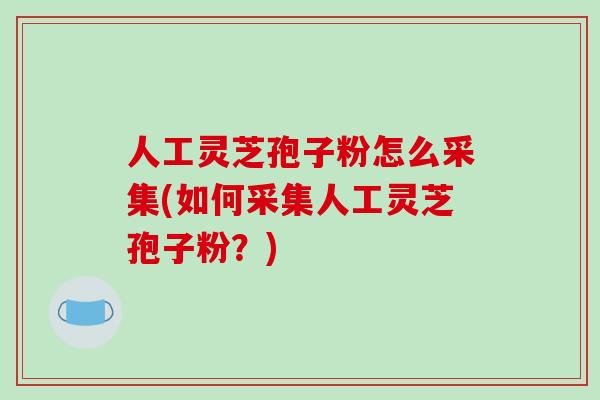 人工灵芝孢子粉怎么采集(如何采集人工灵芝孢子粉？)-第1张图片-破壁灵芝孢子粉研究指南
