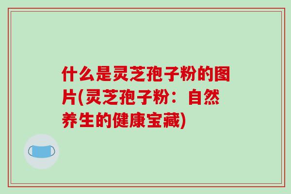 什么是灵芝孢子粉的图片(灵芝孢子粉：自然养生的健康宝藏)-第1张图片-破壁灵芝孢子粉研究指南