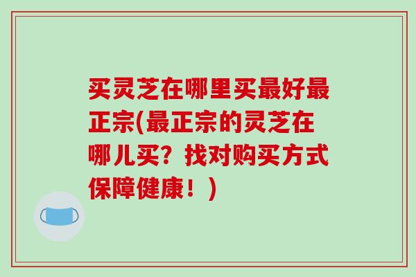 买灵芝在哪里买最好最正宗(最正宗的灵芝在哪儿买?找对购买方式保障健康!)-第1张图片-破壁灵芝孢子粉研究指南 买灵芝在哪里买最好最正宗(最正宗的灵芝在哪儿买?找对购买方式保障健康!)-第1张图片-破壁灵芝孢子粉研究指南