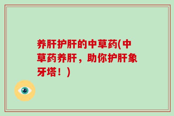 养肝护肝的中草药(中草药养肝,助你护肝象牙塔!)-第1张图片-破壁灵芝孢子粉研究指南 养肝护肝的中草药(中草药养肝,助你护肝象牙塔!)-第1张图片-破壁灵芝孢子粉研究指南