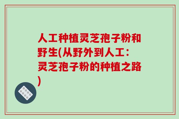 人工种植灵芝孢子粉和野生(从野外到人工:灵芝孢子粉的种植之路)-第1张图片-破壁灵芝孢子粉研究指南 人工种植灵芝孢子粉和野生(从野外到人工:灵芝孢子粉的种植之路)-第1张图片-破壁灵芝孢子粉研究指南