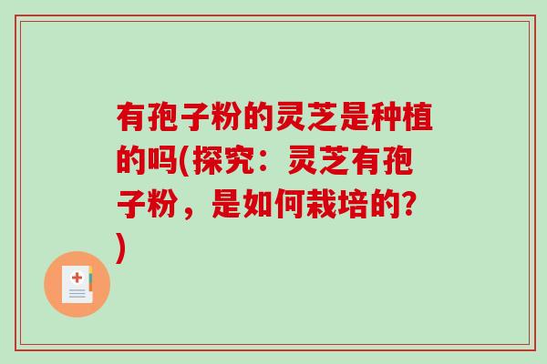 有孢子粉的灵芝是种植的吗(探究:灵芝有孢子粉,是如何栽培的?)-第1张图片-破壁灵芝孢子粉研究指南 有孢子粉的灵芝是种植的吗(探究:灵芝有孢子粉,是如何栽培的?)-第1张图片-破壁灵芝孢子粉研究指南