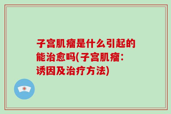 子宫肌瘤是什么引起的能治愈吗(子宫肌瘤:诱因及治疗方法)-第1张图片-破壁灵芝孢子粉研究指南 子宫肌瘤是什么引起的能治愈吗(子宫肌瘤:诱因及治疗方法)-第1张图片-破壁灵芝孢子粉研究指南