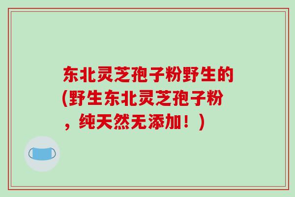 东北灵芝孢子粉野生的(野生东北灵芝孢子粉,纯天然无添加!)-第1张图片-破壁灵芝孢子粉研究指南 东北灵芝孢子粉野生的(野生东北灵芝孢子粉,纯天然无添加!)-第1张图片-破壁灵芝孢子粉研究指南