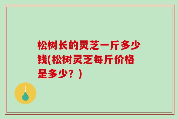 松树长的灵芝一斤多少钱(松树灵芝每斤价格是多少?)-第1张图片-破壁灵芝孢子粉研究指南 松树长的灵芝一斤多少钱(松树灵芝每斤价格是多少?)-第1张图片-破壁灵芝孢子粉研究指南